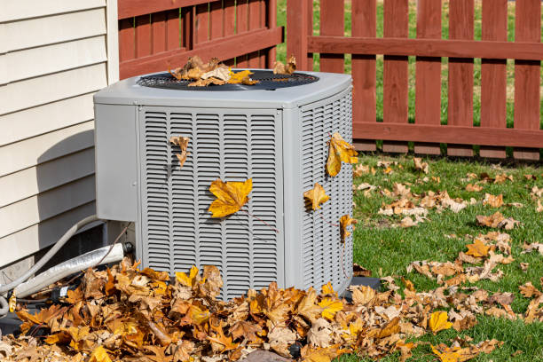Best Ductless HVAC Repair  in Scanlon, MN
