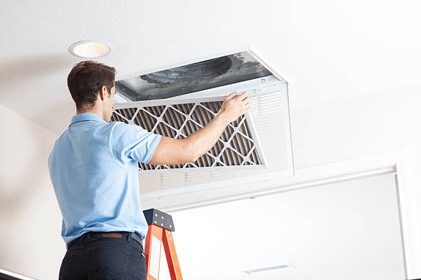 Best HVAC Cleaning Services  in Scanlon, MN